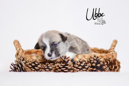 27355414 1b284d2e1891c2c9fb3f21129b761839 xl