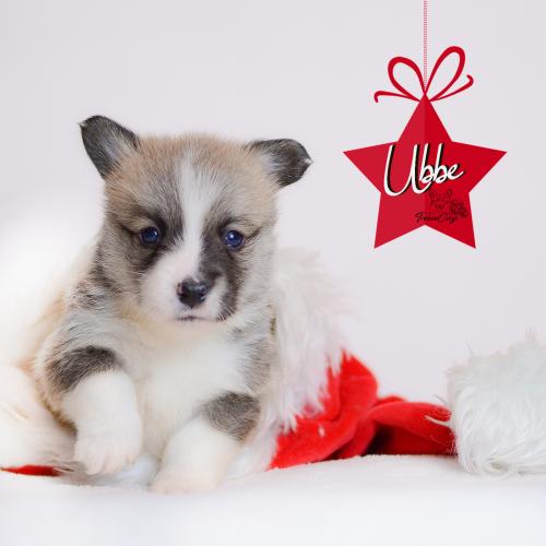 27360690 d637c98533432b3412d5cfc20bdadf8a xl