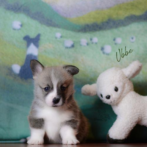 27360714 a798ed7d1c79b4d3e64e20e95b81650a xl