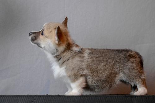 27360744 72f2b293f46a2b3e89381fcf833f8974 xl