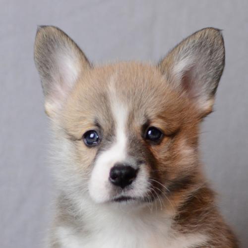 27360748 f510af5fb385541f35aa9c0565cad7da xl