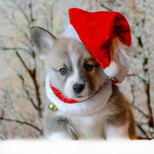 27360786 f548c16230236b62b879ba08fe071676 xl