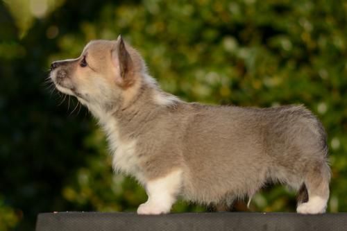 27363884 d74f9f3774c51e112560ad3630a79528 xl