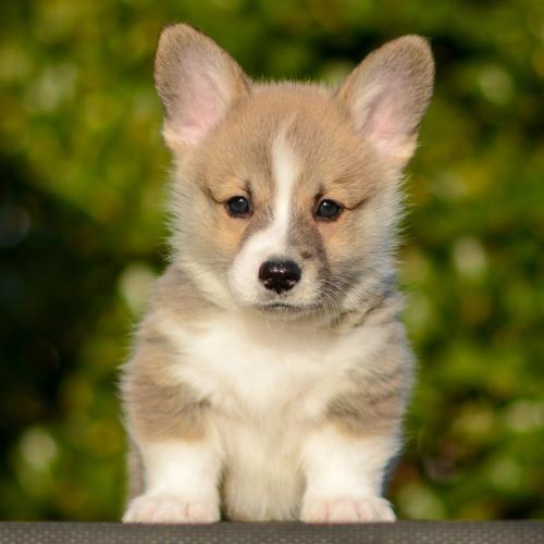 27363886 4cd0ceea1faf8ec46a2529b69a6ddacb xl