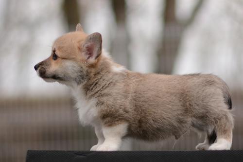 27363888 f78c54dc2c6d9a46a5cc75192de44c91 xl