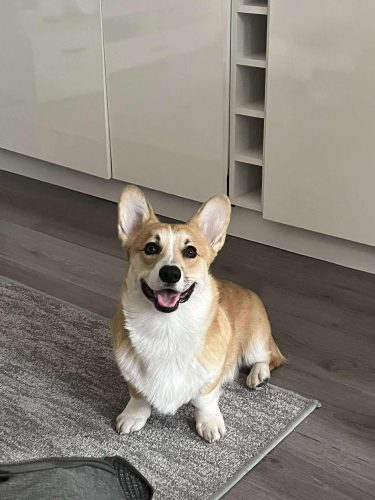 527744414 1340413420969156 2404303586812931834 n