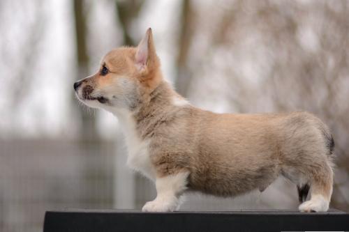 a-9-ubbe-9wsCOE 2965