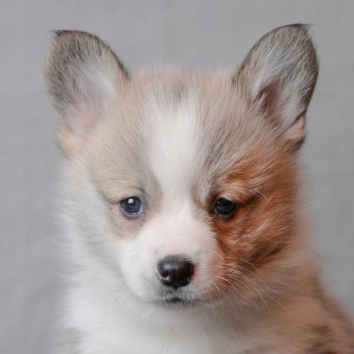 27360750 02bcc866c2a5a2d8b7081be03a1d1df2 xl