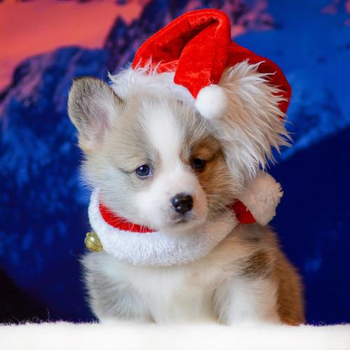 27360788 a43d43f2e0fa4dcae1b4bd2e852e0535 xl