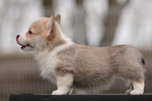 27363876 02d10ba93afe68abd57d41fd46a3fae3 xl