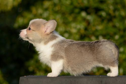 27363880 af92cb469aff27da928b241952bd2cfa xl