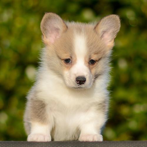 27363882 8f5d86bc4f1ec37cad35220e9dd25e16 xl