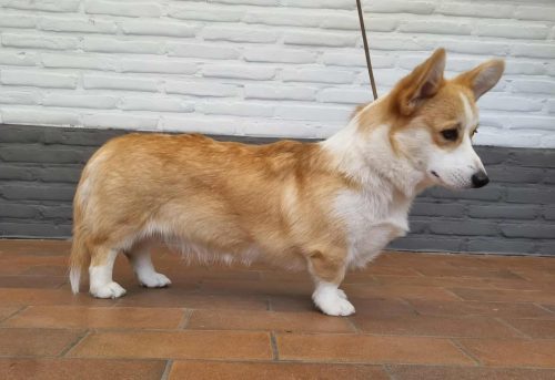 531079014 1276140420307097 599744688960601436 n