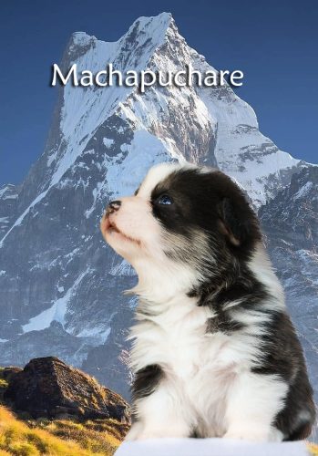 Machapuchare