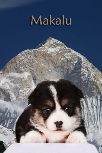 Makalu