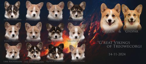 G-lliiter-tag-nagy-alap