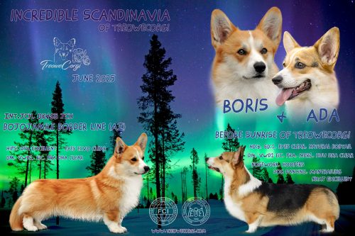 Incredible-Scandinavia