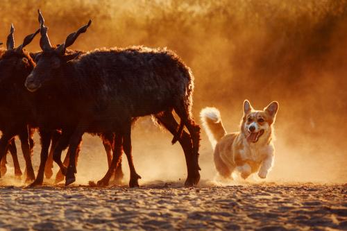 27046183 4c12bf3e3804cf9682f66b8f4ce76116 xl