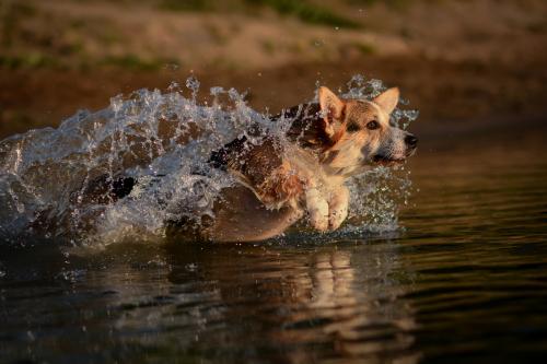 27111655 5c84320e1a61edab2a326cc53c94bca4 xl