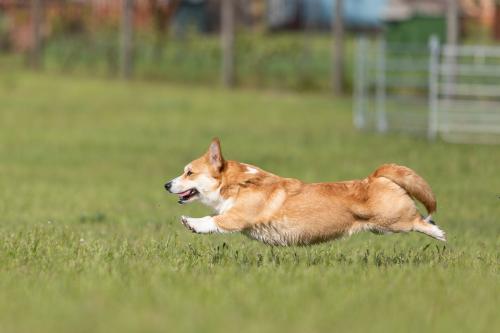 27190972 826c0bb88d2c535a85e0f203b994a71f xl