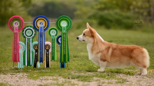 27290214 0048defc2308621e9a92bdc2d5073fe2 xl