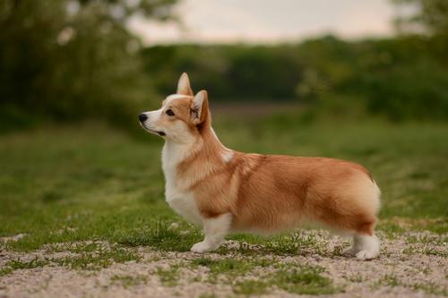 27294598 9d062e631e23175d49075d9f42694fbb xl