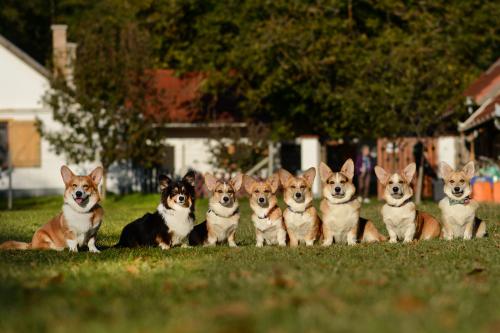 27130208 66bfbdd41ef7e3c61e8fba807096bcee xl