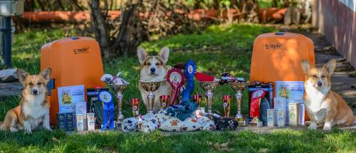 27130698 07ac9b3411bb578d951a45cf6b35df76 xl