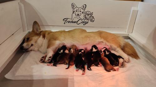 27145654 ae527186c3b4741f8e38b39bfb36b447 xl