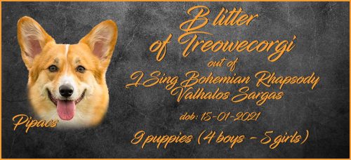 boys-litters-Lajos-B-