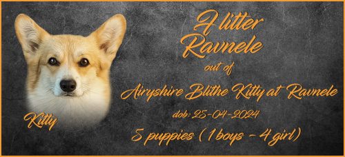 boys-litters-Lajos-R-F-