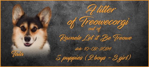 boys-litters-Lajos-TC-F-